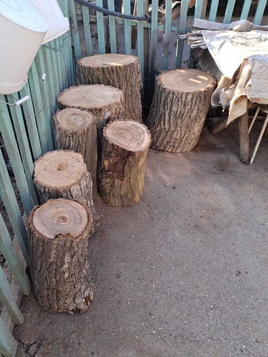 Продаются дрова, пеньки