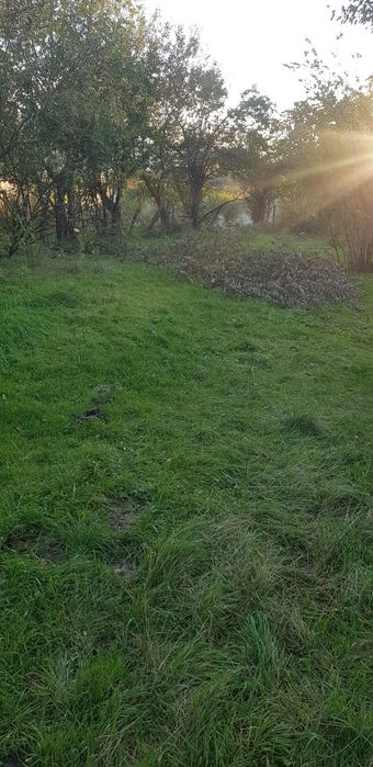 Продава се Парцел в Сапарева баня - 1088 кв.м за 104 €/кв.м - Снимка #4