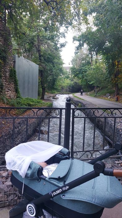 Коляска Olsson iStyle green 2в1