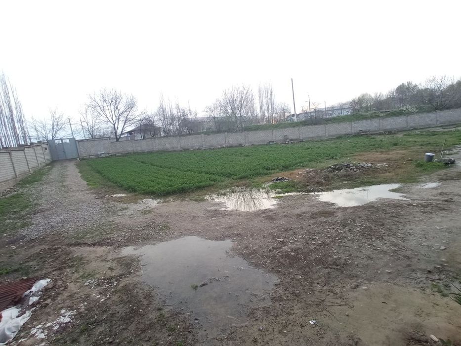 Янгийул.тум. Халкабод. Уч егочда  участка сотилади. 8,5 сот 4 хона.