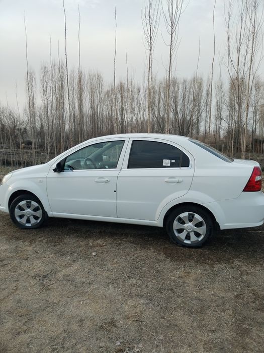 Nexia 3 xamma kraskasi radnoy