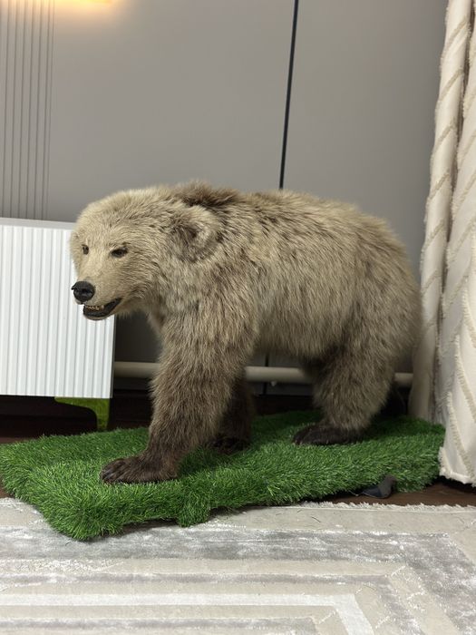 Срочно продам антиквариат Медведь