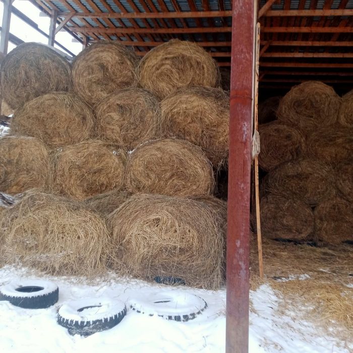 Продам свежее сено,цена договорная.