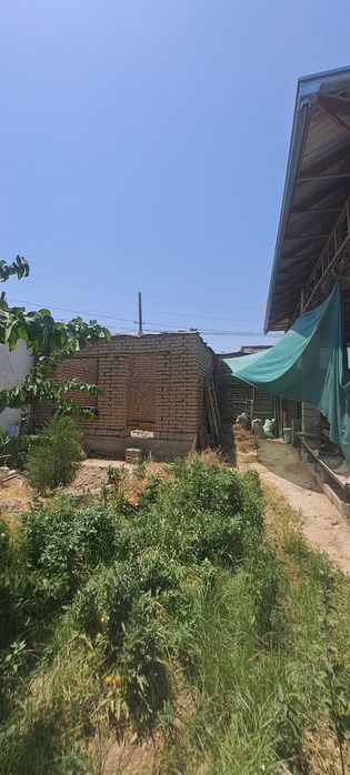 4 сотихли ховли срочно сотилади