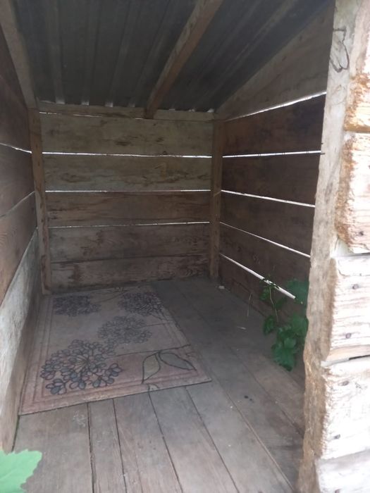 Иттің ұясын сатамын