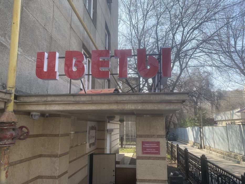 Лайт бокс (цветы-гульдер)  срочно