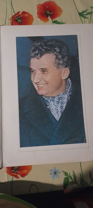 Vind cartea Omagiu tovarășului Nicolae Ceaușescu