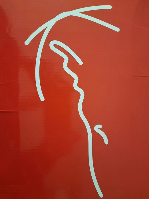 Оригинални кецове Karl Kani