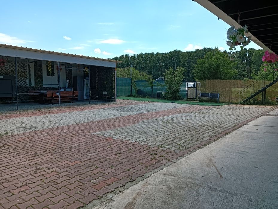 Casă de închiriat  la Măgurele Ilfov