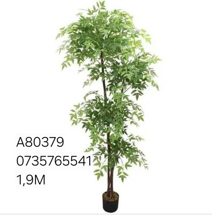 Palmier maslin copac exotic frunze cu aspect natural