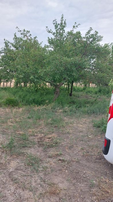 Продажа дачи на бугорках