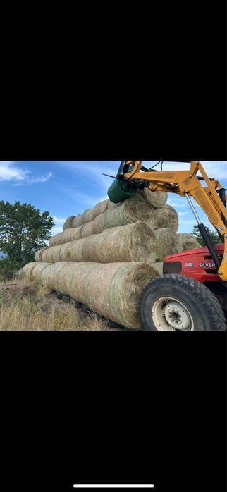 Lucerna Infoliat/baloti de fan/balot rotund/baloti mici