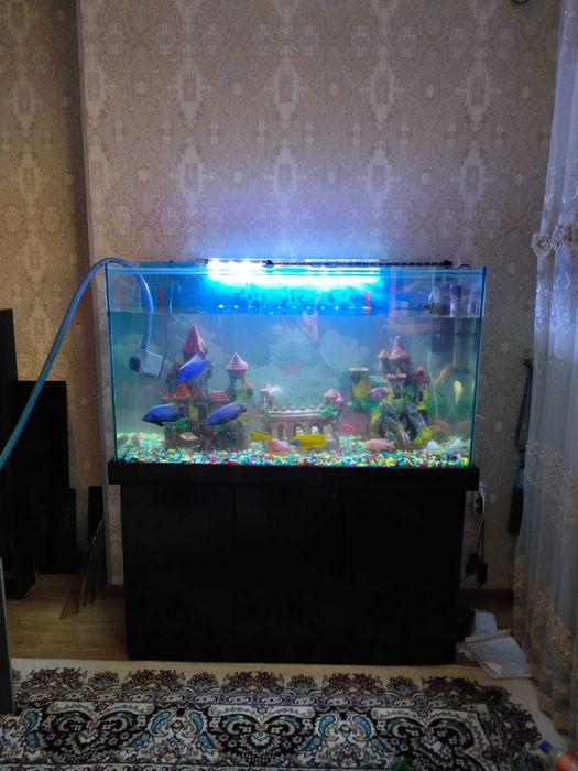 Профессиональная чистка аквариума AQUALlFE