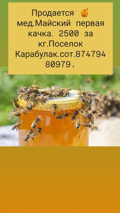 Продается Мед свежий.