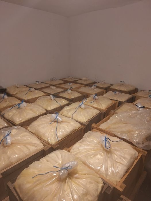 Branza de oaie maturata