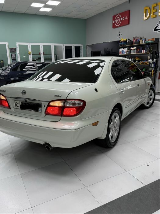 Nissan maxima ishqibozlari uchun dodasi