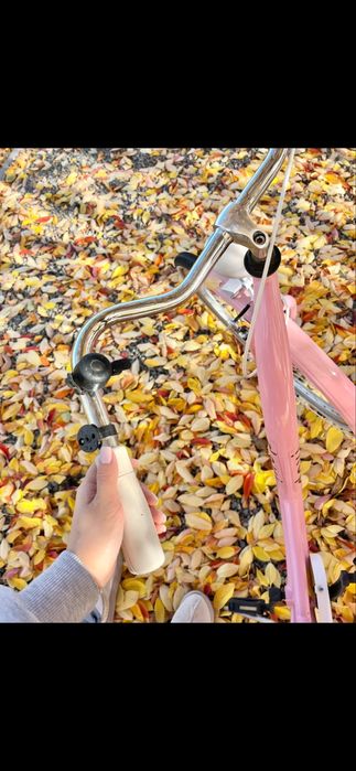 Bicicleta pegas dama