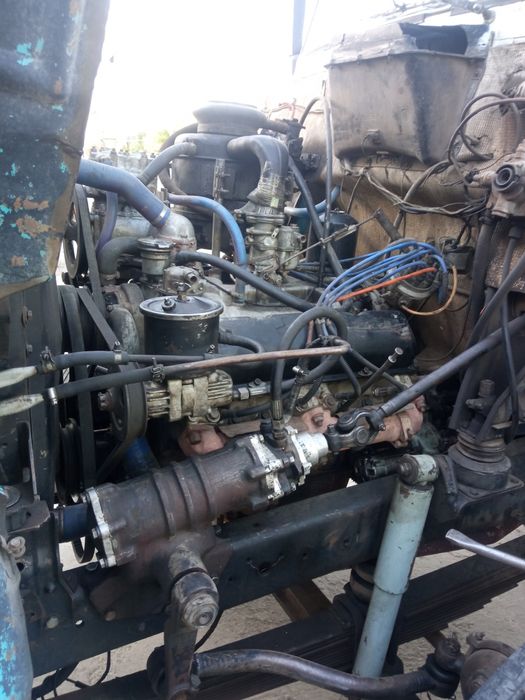 Zil bichok yili 2007