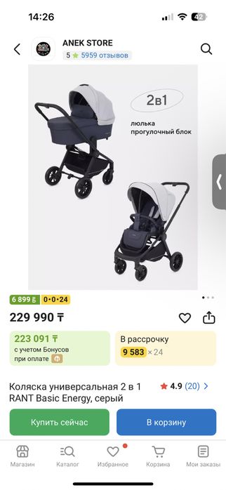 Коляска 2в1 Rant
