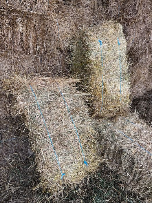 Baloți de fân de semănătură și coastă