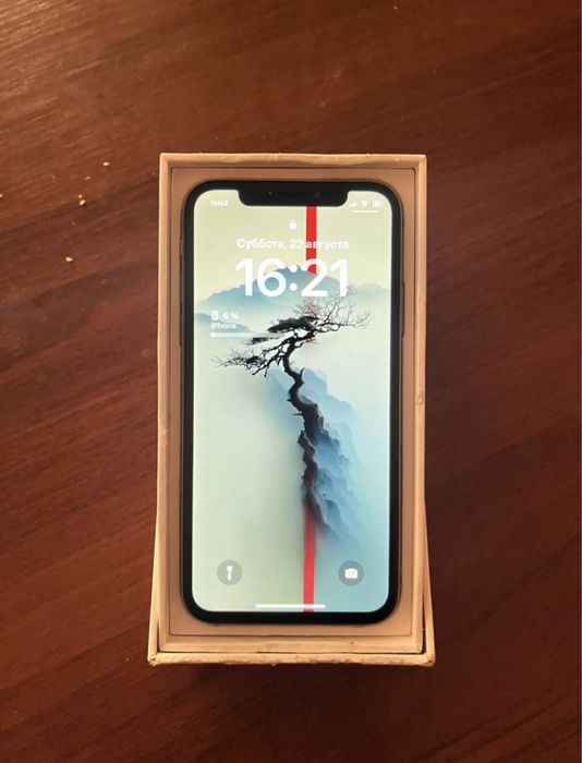iPhone X сатылады