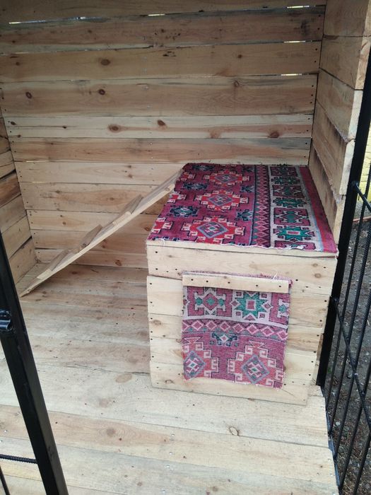 Вальер для собаки Эконом