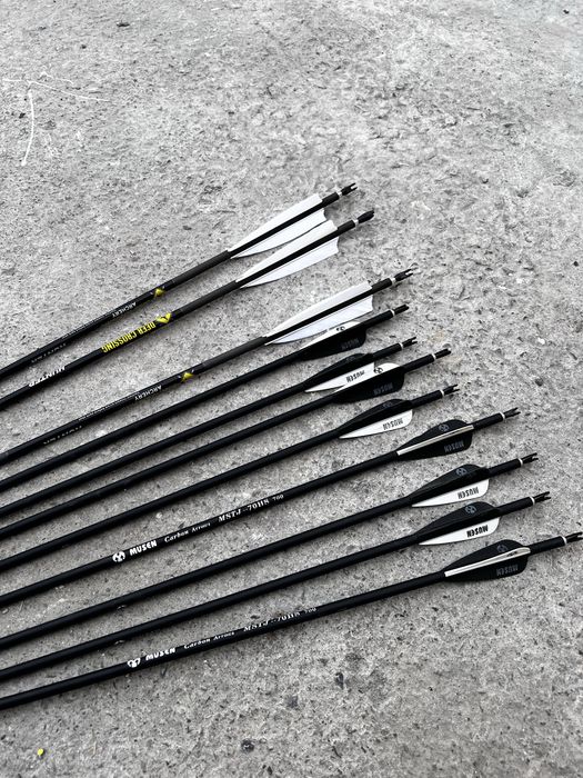 Kamon va uqlari Лук спортивный со стрелами (камон)