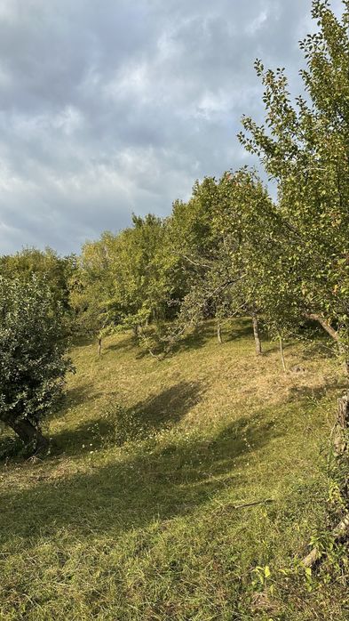Teren 7.200–7.500 mp, sat Piatra, comuna Stoenești, jud. Argeș — livadă, fâneață și liniște deplină