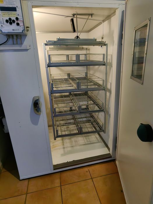 Incubator +eclozor OUA STRUT