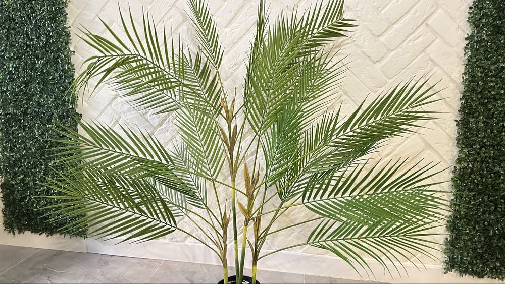 Искусственные  пальмы и диффенбахия