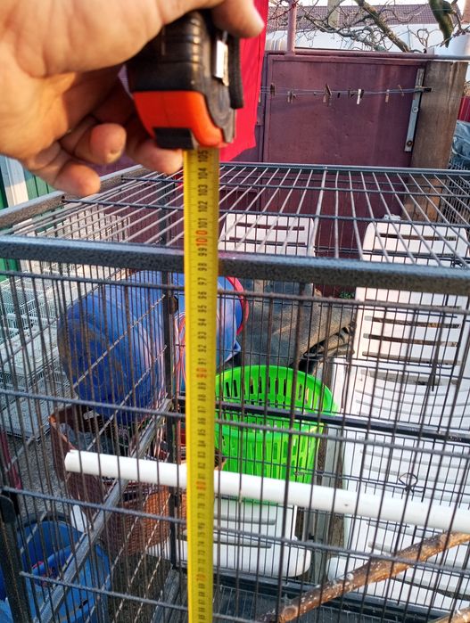 Colivie voliera cușcă papagali