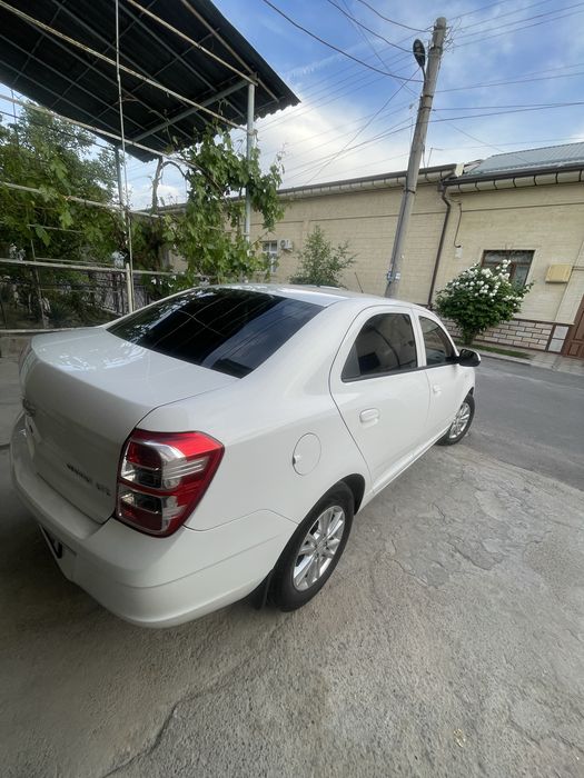 Other Cobalt 2024 — 3