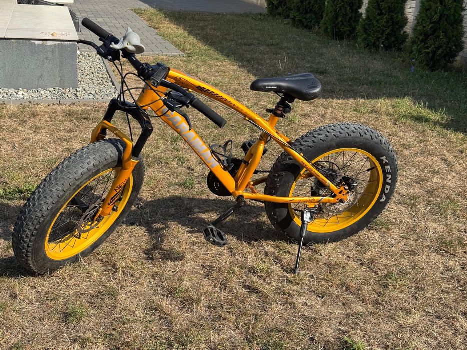 Vand Bicicleta 20”