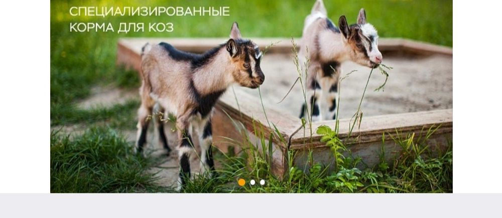 Комбикорма viamin в костанае