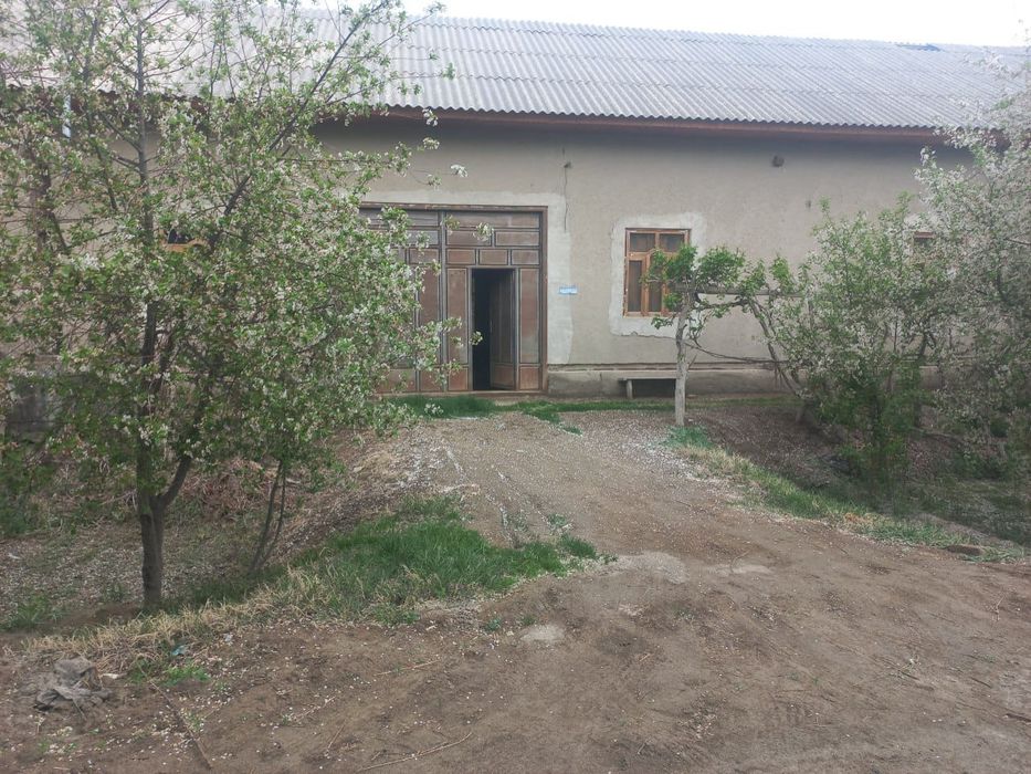 Buxoroda Jondor Alelicha qishlog'ida Hovli sotiladi