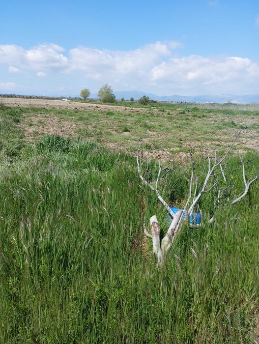 Продава се Земеделски имот в Бургас, Изгрев -  кв.м за 4800 €/дка - Снимка #3