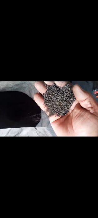 Урык , жоңышқа,  клевер.