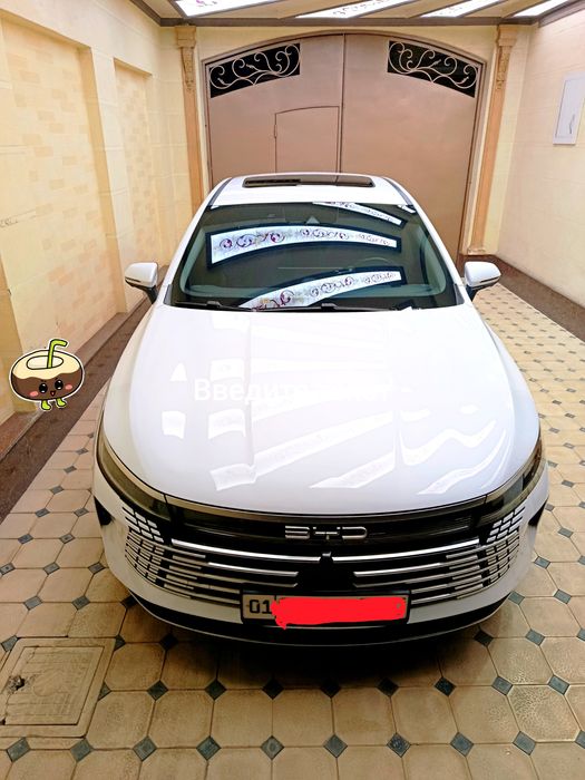 BYD чазор 120 тали 2023