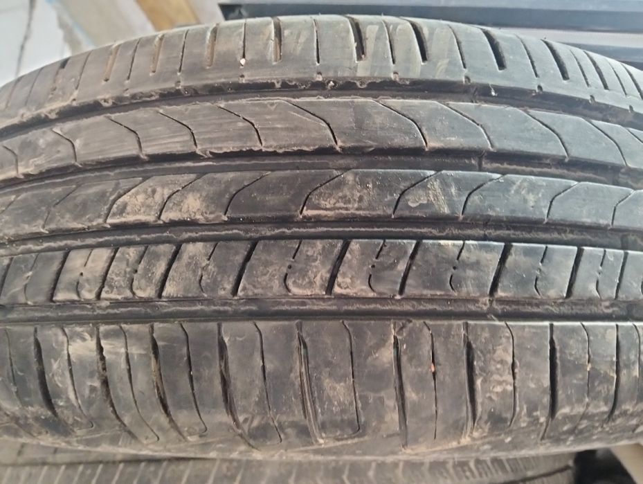 Екі жаздық бір сезон жұрілген