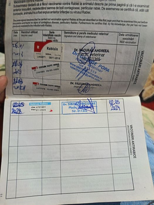 Vând câine de rasa