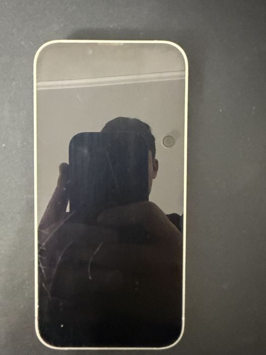 Iphone 13 (256 gb) (79%)