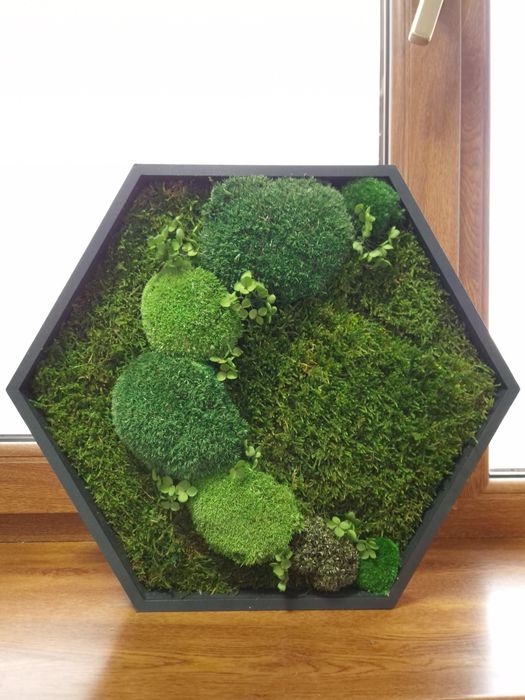 Tablou hexagonal din muschi si licheni 45.5 cm