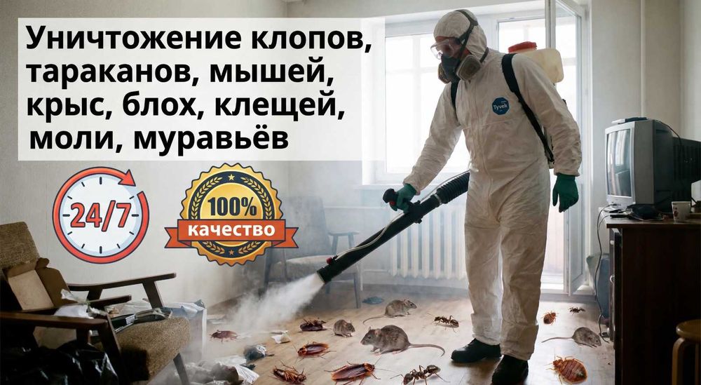 Дезинфекция! Боремся с Тараканами Крысы Клопы Клещи Мыши Блохи! СКИДКИ