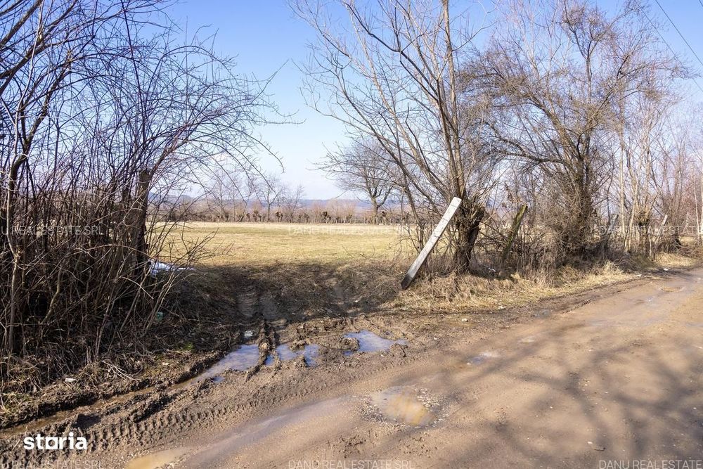 Bran Sohodol,5967mp+teren bonus,intravilan constructii P+E+M,comision0