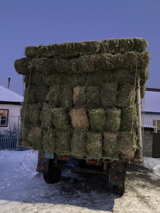 Сена Жонышка сатамыз