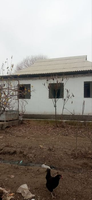 Uy sotiladi Oktyabrda