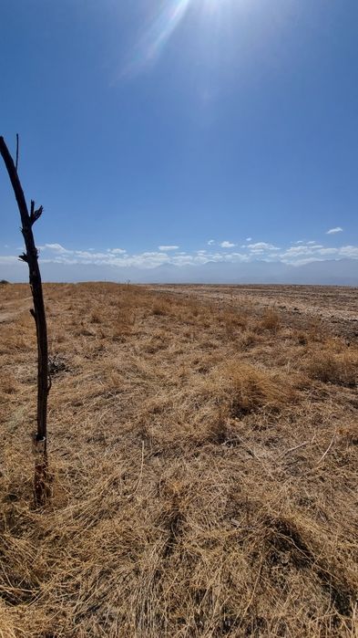 Продам участок 70 соток