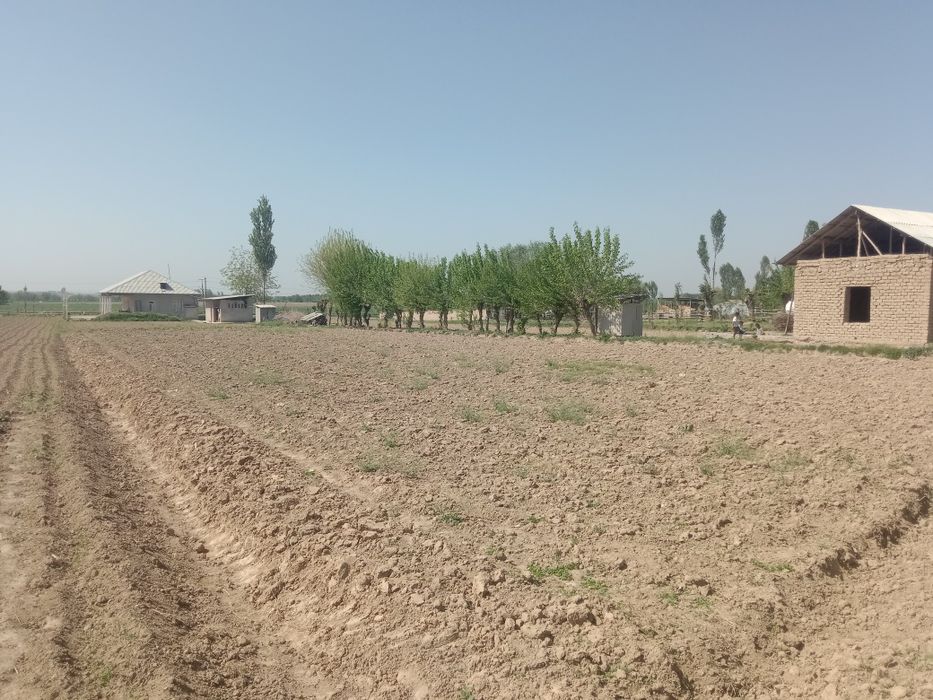 Срочна Уй сртилади