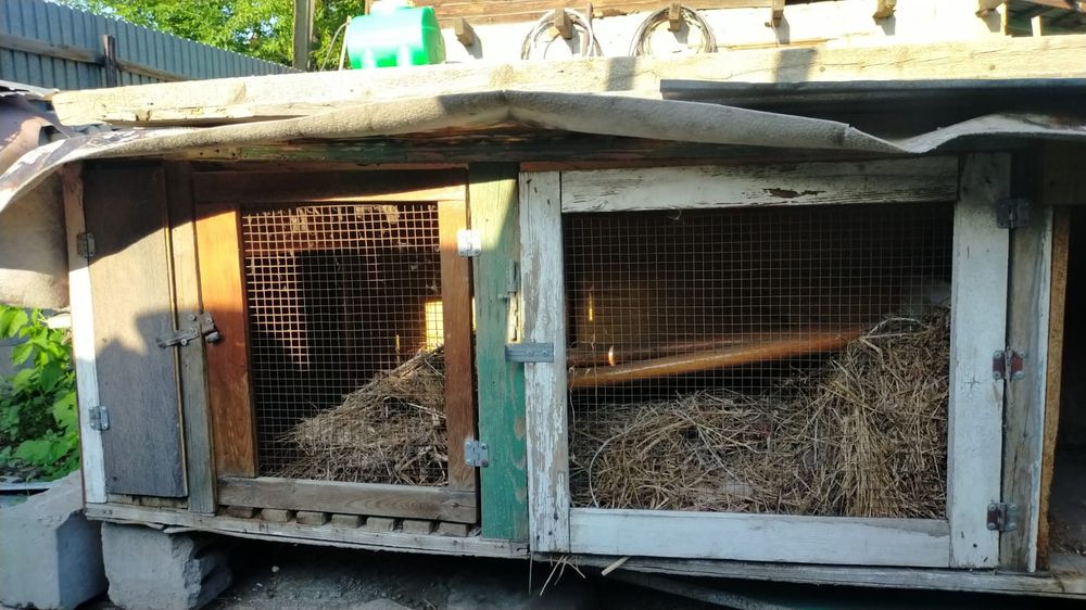 Продам клетки для кроликов