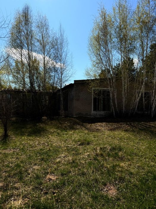 Продам участок 7.5 га в Сосновом бору